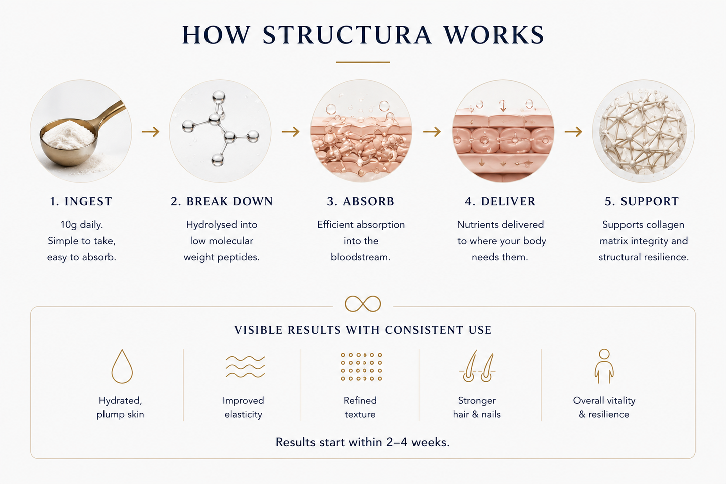 STRUCTURA bundle