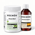 The Base - VECHÉN